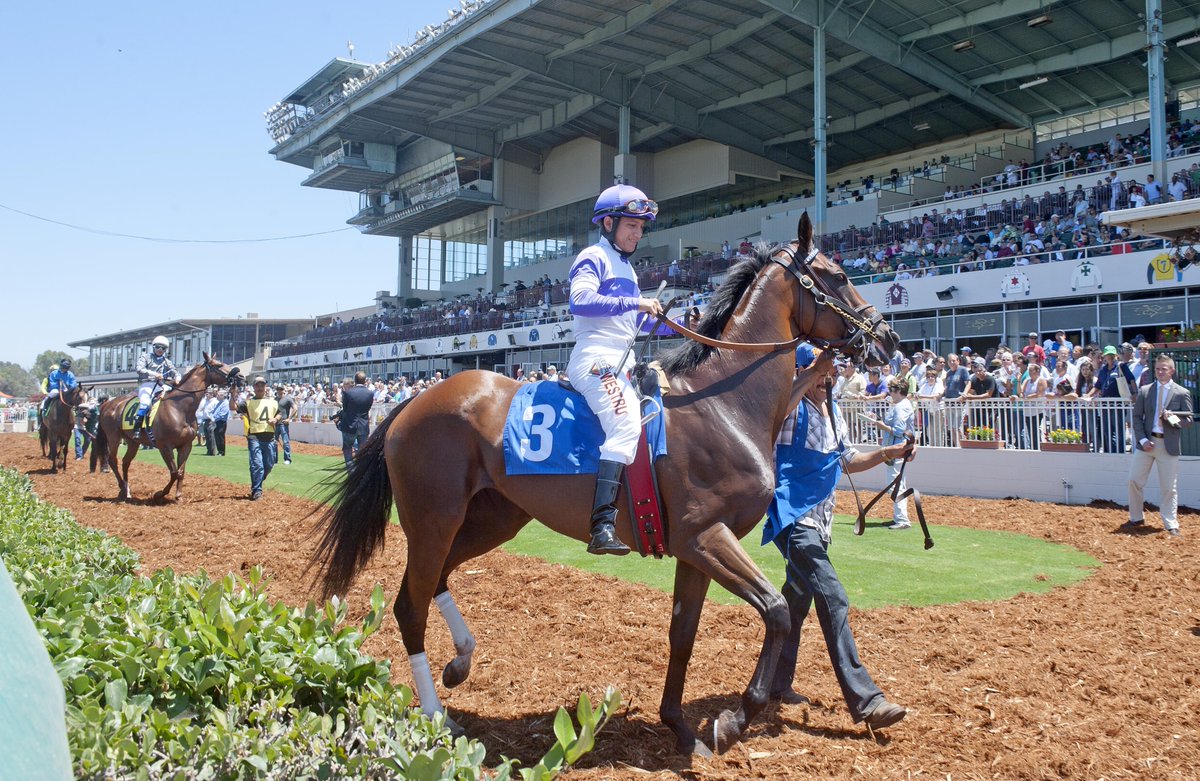 Jockey in purple and white attire riding a horse during a horse racing event at a racetrack.