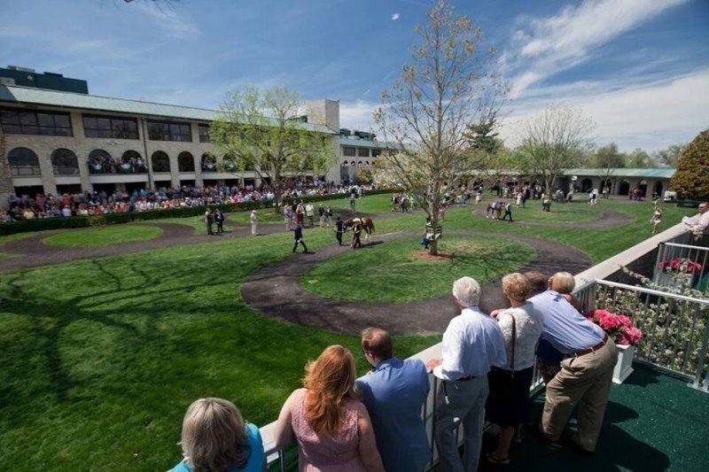 View of the Keeneland paddock area with spectators observing horses and handlers in a grassy setting.