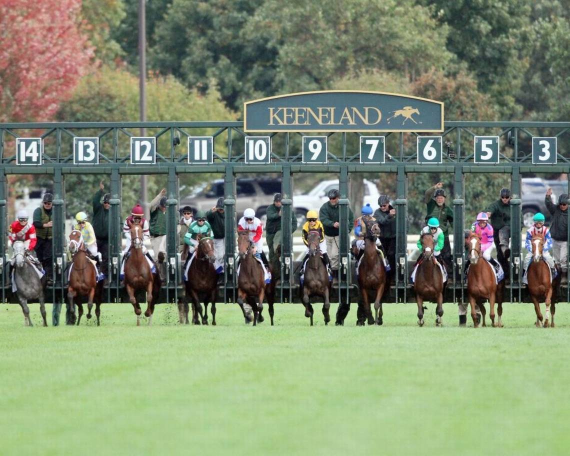 A lineup of thoroughbred racehorses at the starting gate at Keeneland, featuring jockeys in colorful silks ready for the race.