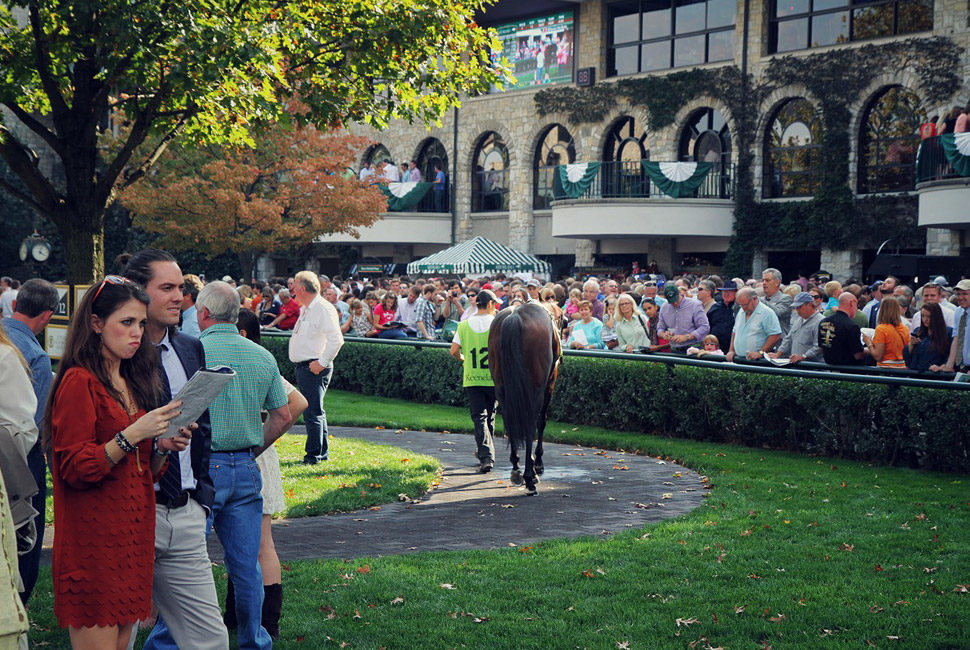 A horse with the number 12 on its saddle walking in front of a crowd at Keeneland Racecourse.