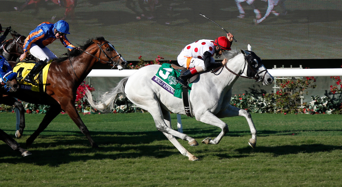 A racehorse with a jockey wearing polka dots and a red cap competes on a grassy track, showcasing speed and athleticism.