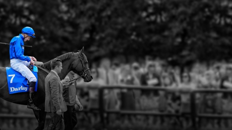 A racehorse with a jockey in blue attire and a handler, showcasing the excitement of horse racing events.