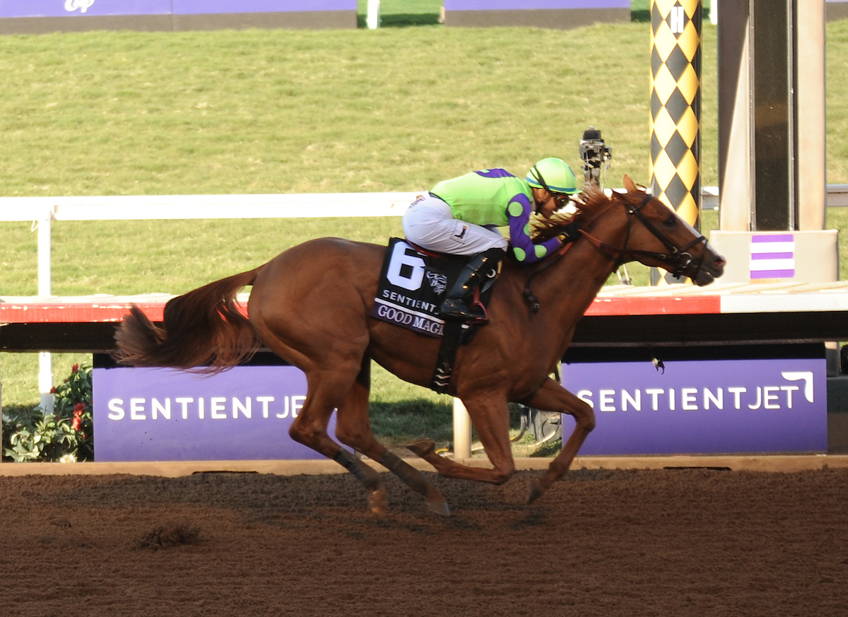 Breeders' Cup Juvenile