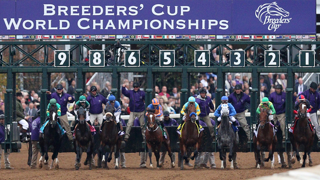 Horses and jockeys starting a race at the Breeders' Cup World Championships event.