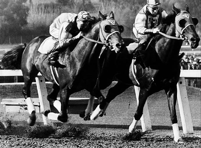 Two racehorses competing closely on a track during a horse race in black and white.
