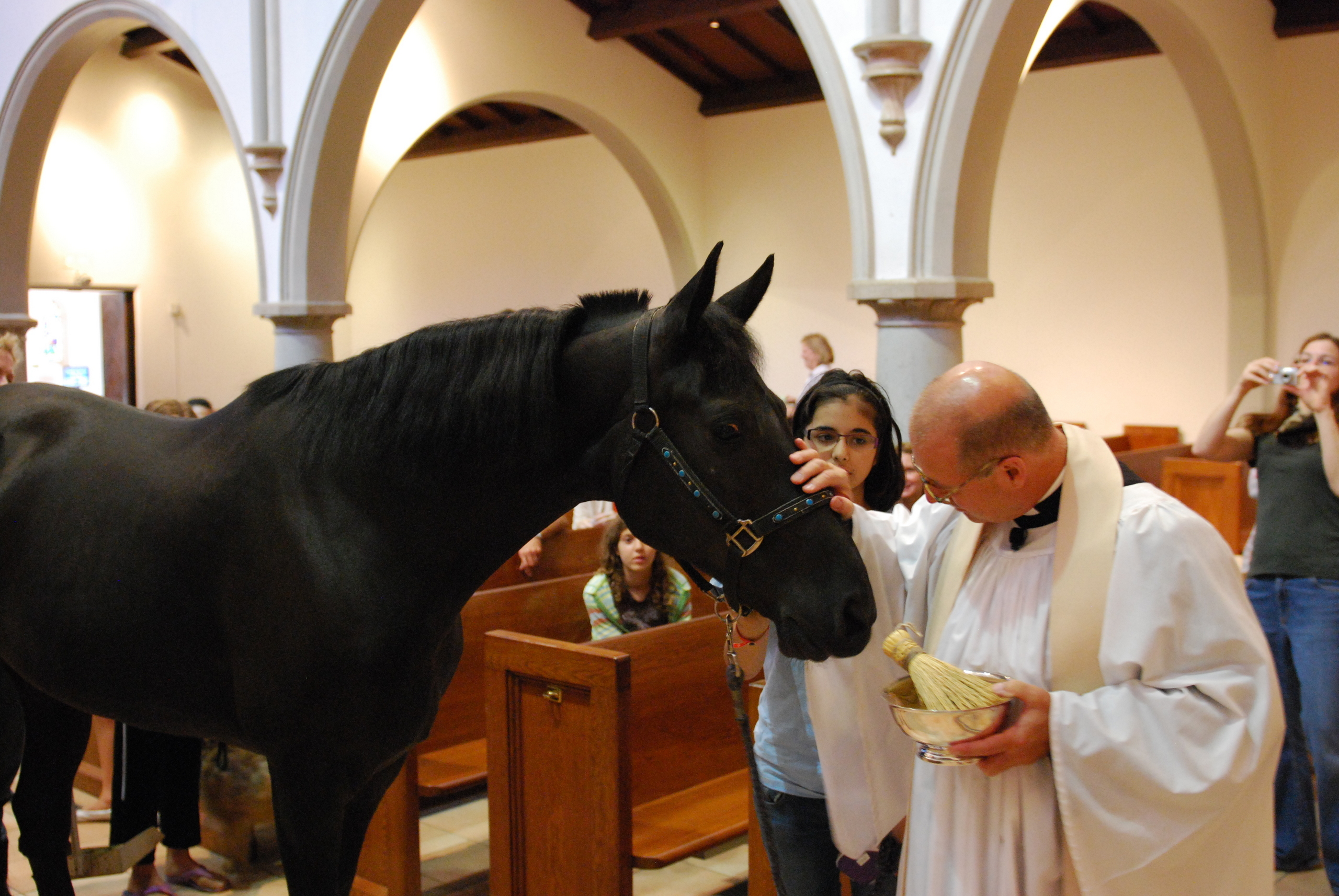 A black horse interacts with a priest during a ceremonial event, showcasing a unique blend of animals and religious practices.