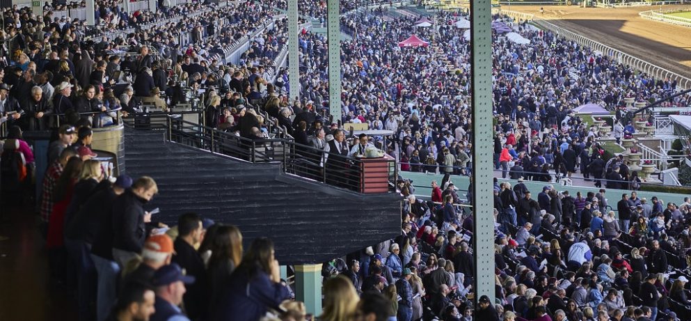 Large crowd of spectators gathered at a horse racing event in a grandstand setting.