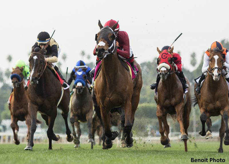 Thoroughbred horses racing on a grassy track with jockeys in colorful silks, showcasing speed and competition during a horse race.