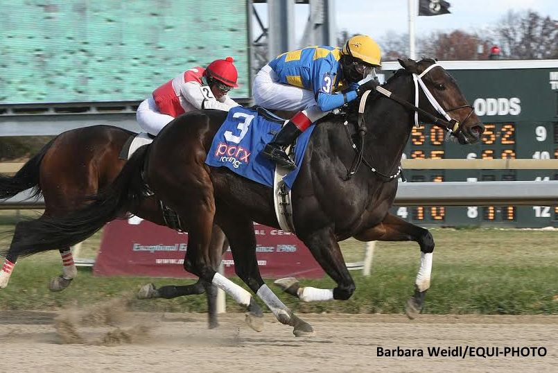 Two jockeys riding thoroughbred horses during a race at Parx Racing in Pennsylvania.