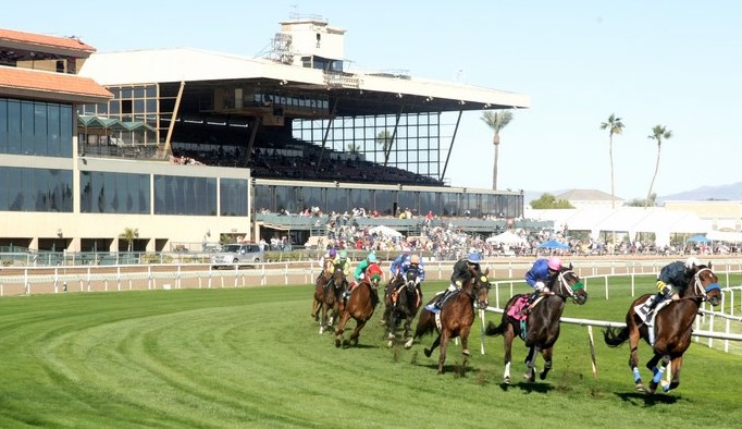 A thrilling horse race featuring multiple horses and jockeys on a green racetrack with a grandstand in the background.