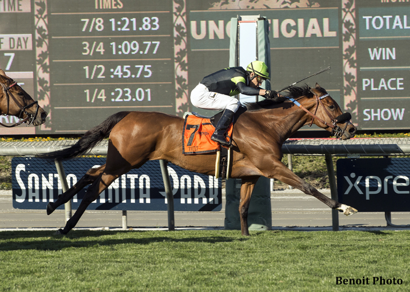 A racehorse with a jockey in a black and green uniform competing at Santa Anita Park.