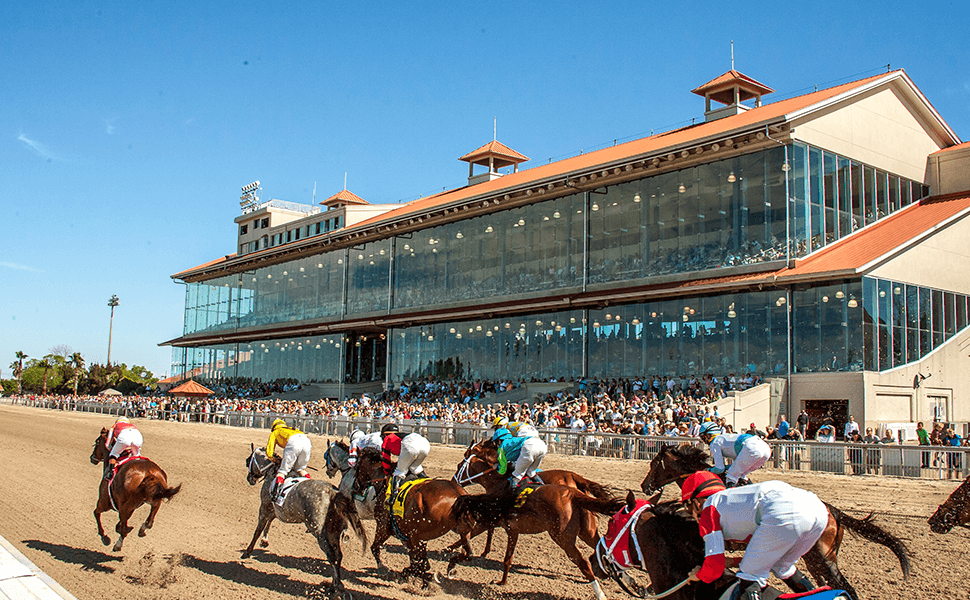 Horses racing on a dirt track with a large grandstand in the background filled with spectators.