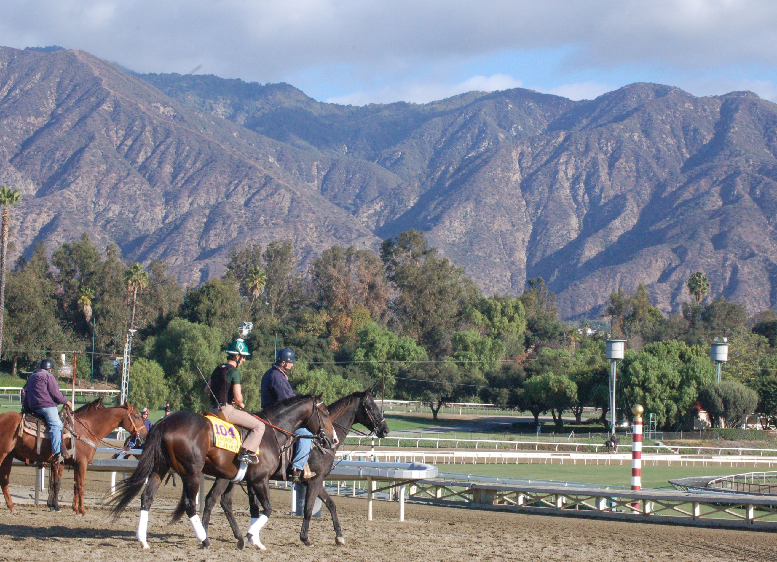 Two horses with riders training on a racetrack surrounded by mountains and trees, showcasing equestrian activity in a natural setting.