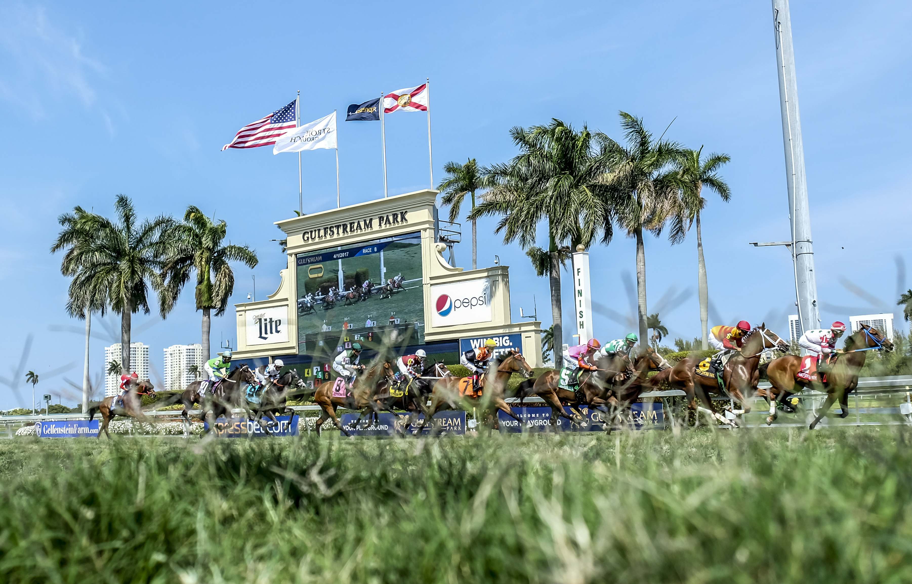 Horses racing at Gulfstream Park with flags and a scoreboard in the background.