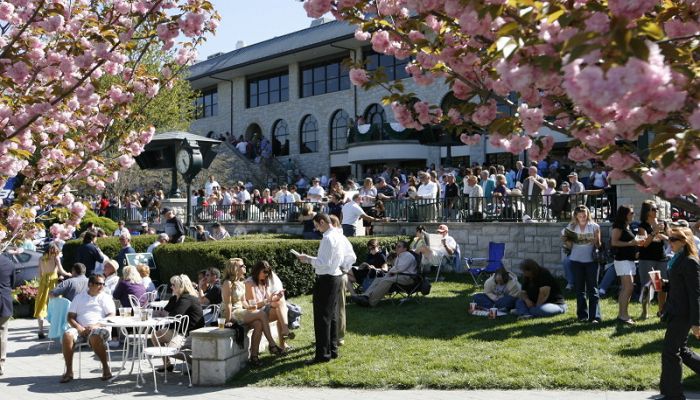 A large crowd of people gathered in a park area surrounded by flowering trees.