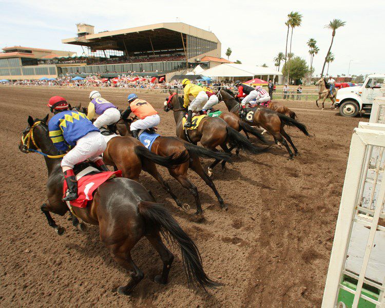 A group of racehorses with jockeys in colorful silks competing on a dirt racetrack.