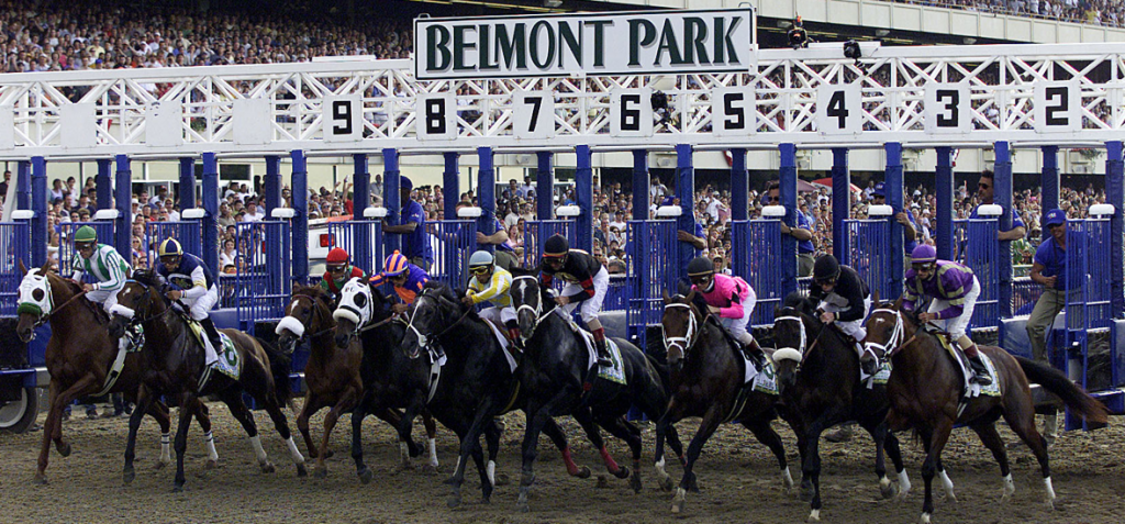 Exciting horse race start at Belmont Park with multiple jockeys and horses bursting from the starting gates.