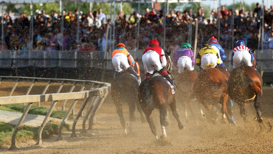 A group of horses racing at the Preakness Stakes, with jockeys in colorful silks and dust being kicked up from the track.