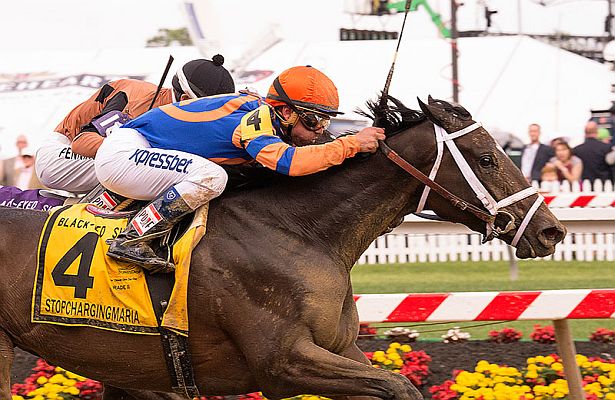 Jockey riding Stopchargingmaria during a horse race, wearing orange and blue silks, with a blurred background of spectators.