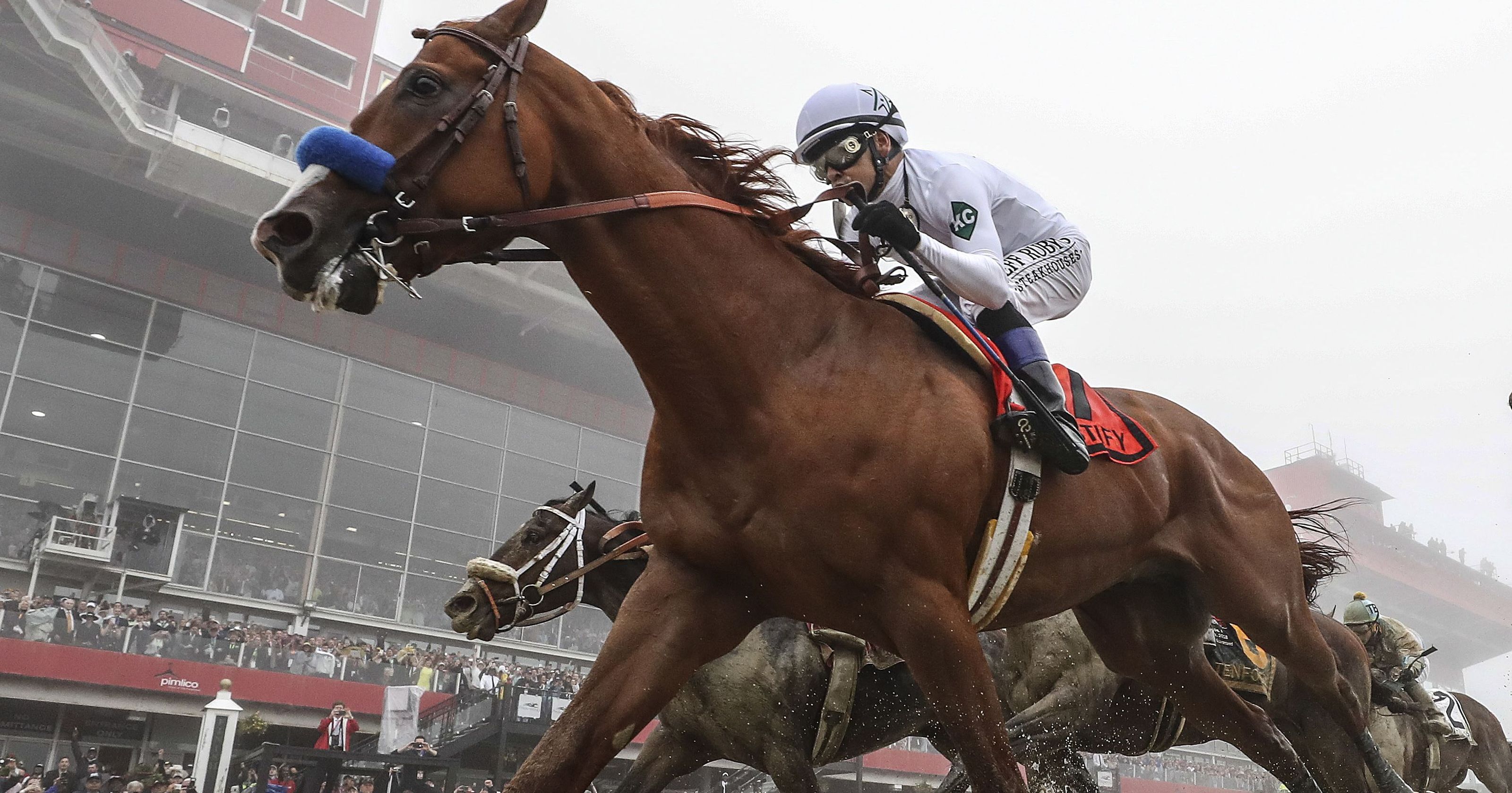 A chestnut racehorse with a jockey in white attire racing ahead during a horse race.