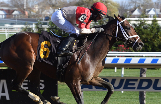 A racehorse with a jockey wearing a red and white uniform, galloping on a racetrack.