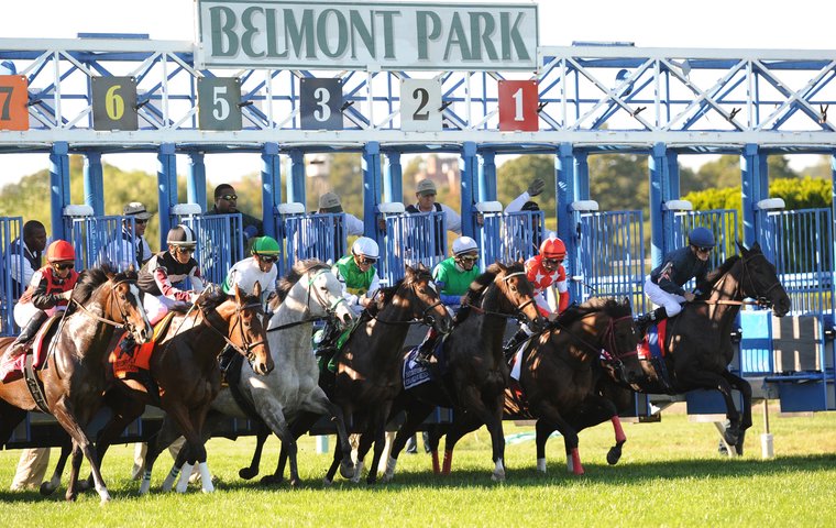 Horses and jockeys at the starting gate of Belmont Park during a race.