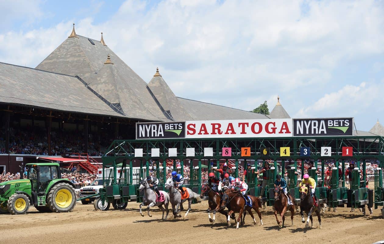 Horses and jockeys at the starting gate of a race at Saratoga Race Course.