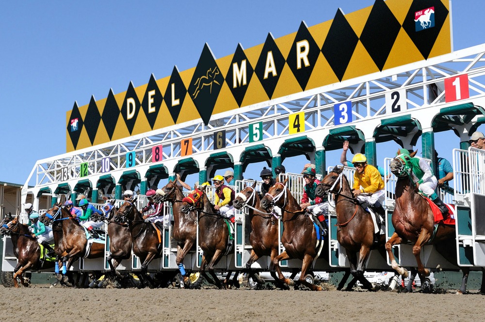 Horses and jockeys racing at Del Mar racetrack, showcasing vibrant colors and dynamic action at the starting gate.