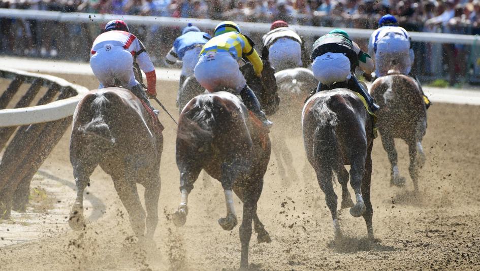 Dynamic image of multiple racehorses competing on a dirt track, showcasing speed and athleticism in a thrilling horse race.