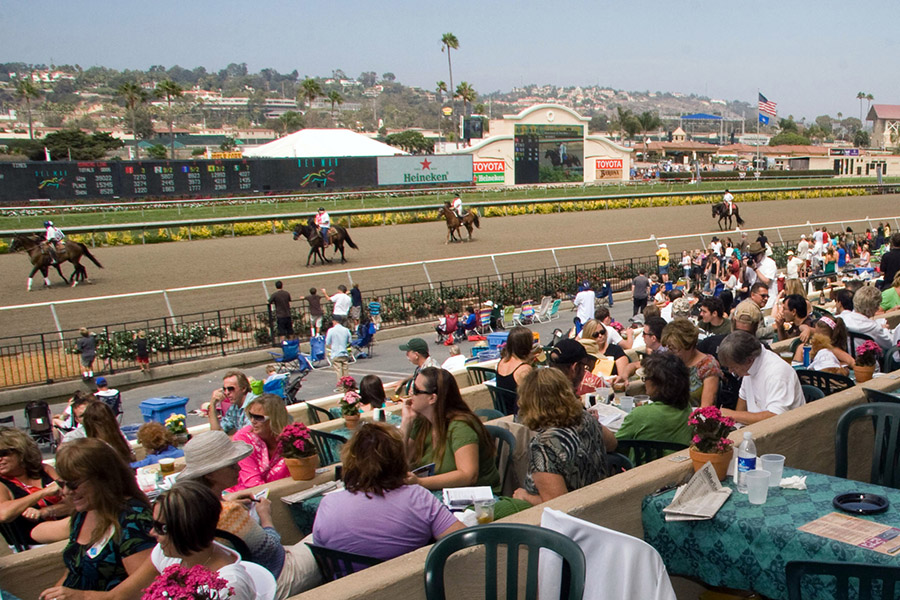 A lively horse racing event featuring spectators enjoying the race, with horses racing on the track and a vibrant atmosphere.