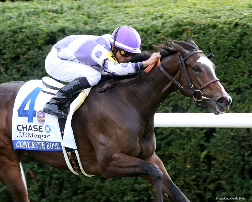 A thoroughbred horse named Concrete Rose racing with a jockey in purple and white silks.