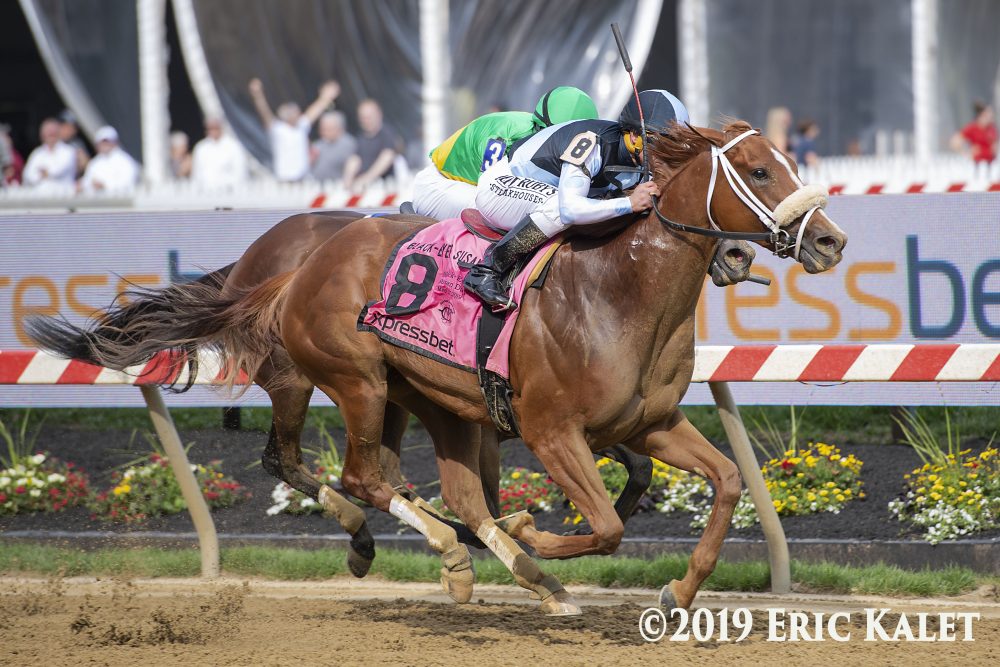 Two racehorses competing closely during the Black Eyed Susan Stakes at Pimlico Race Course.