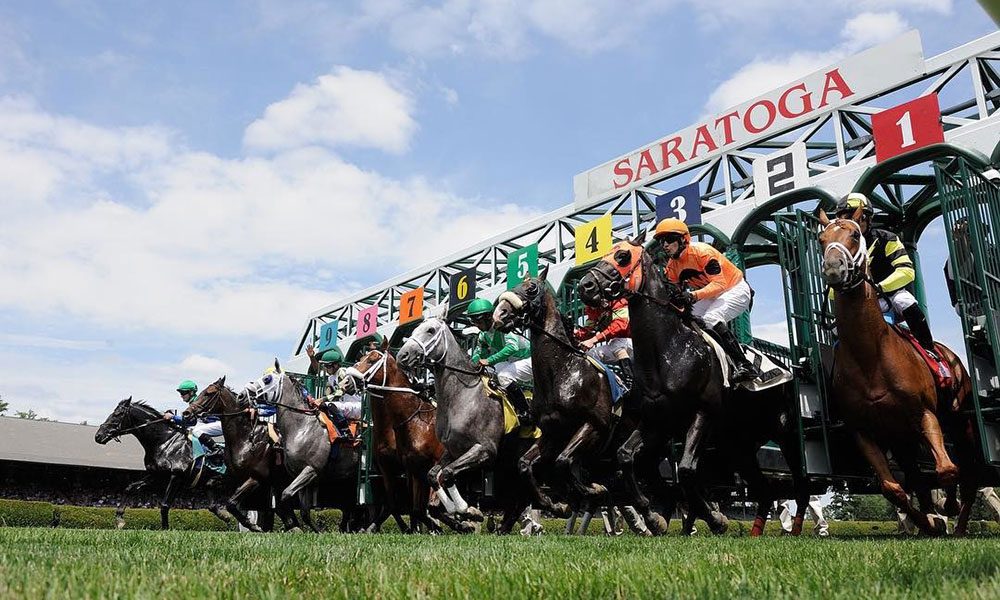 Saratoga Picks