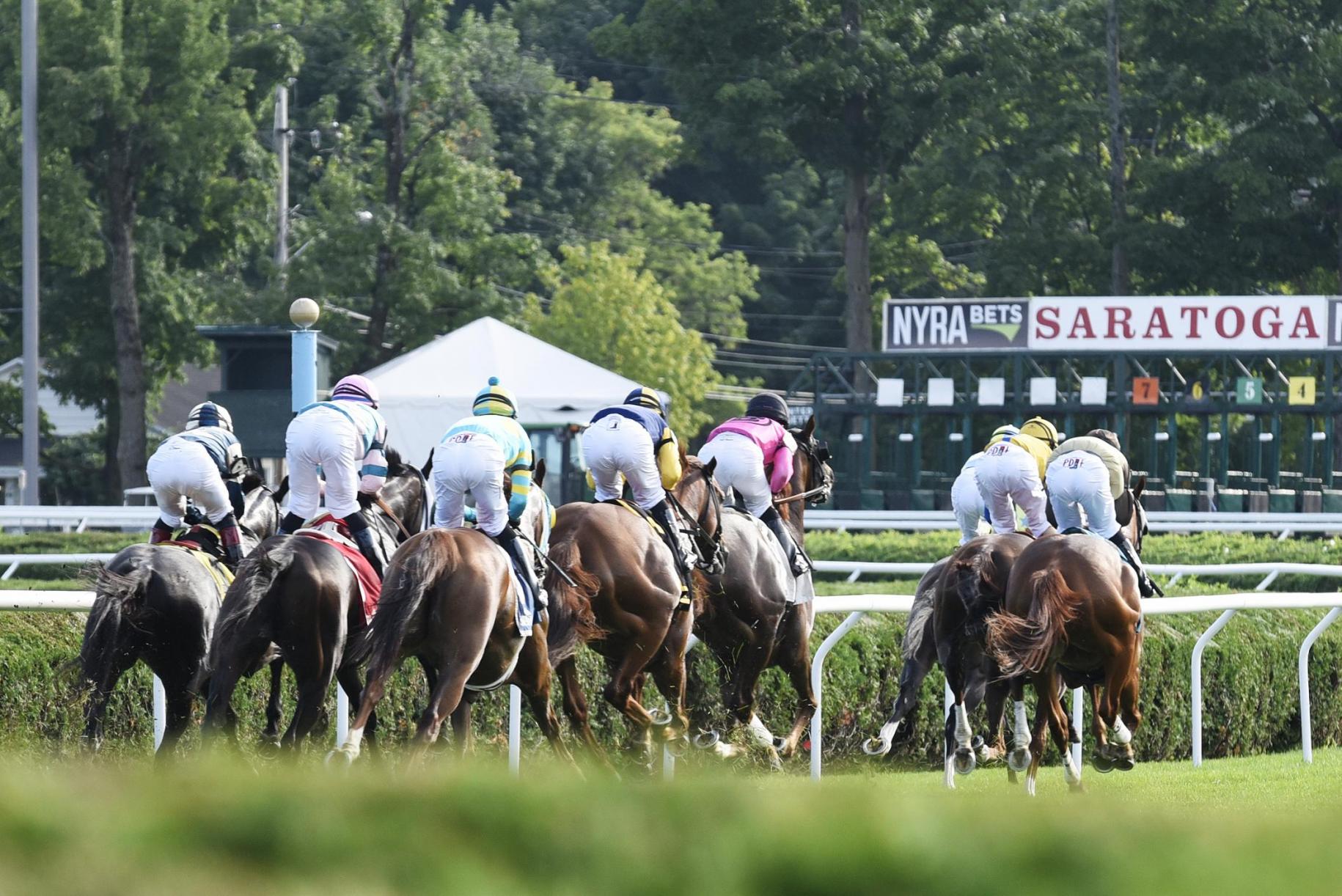 Horses and jockeys in a race at Saratoga Race Course, viewed from behind.