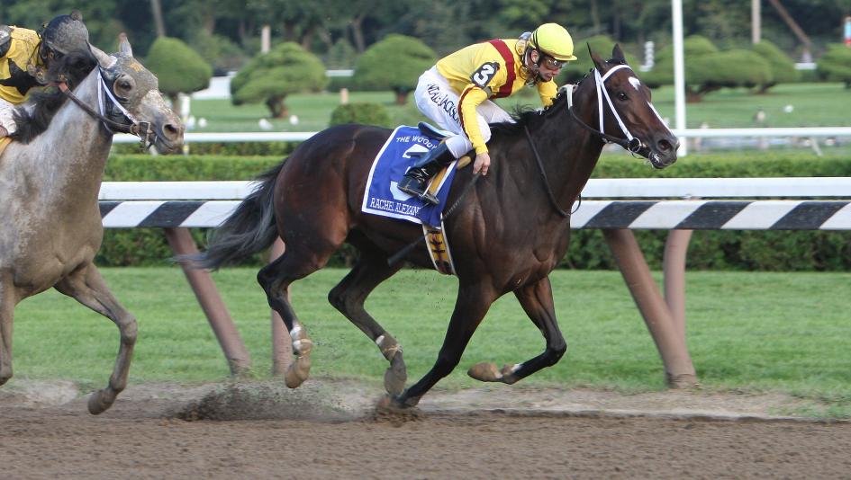 A racehorse with a jockey in yellow silks competing on a dirt racetrack.