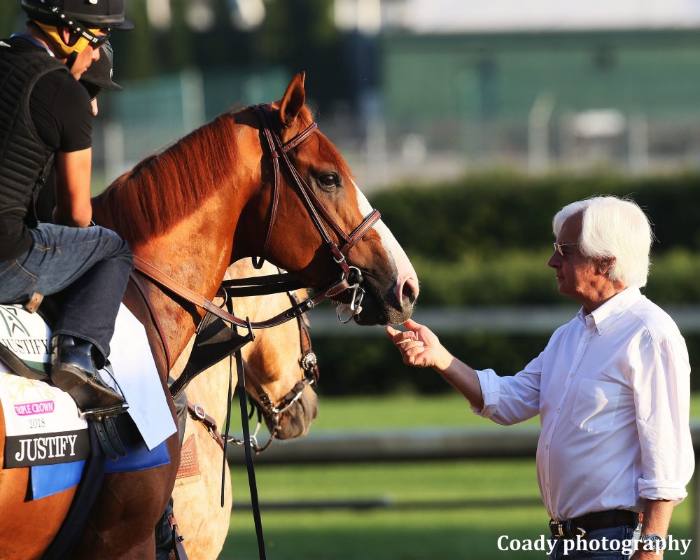 Trainer interacting with the racehorse Justify during a training session.