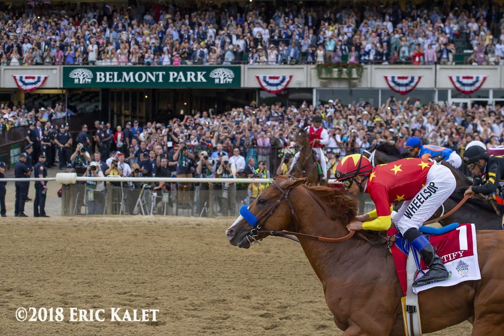 A jockey riding a chestnut horse during the 2018 Belmont Stakes race at Belmont Park.