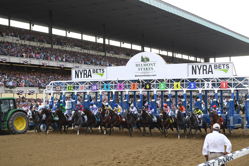 Horses and jockeys at the starting gate for the Belmont Stakes race at Belmont Park.