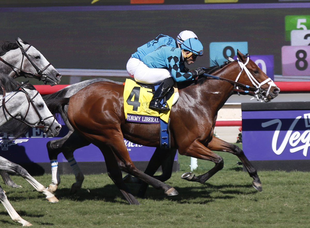 A chestnut horse with a jockey in blue silks racing on a turf track during a horse racing event.