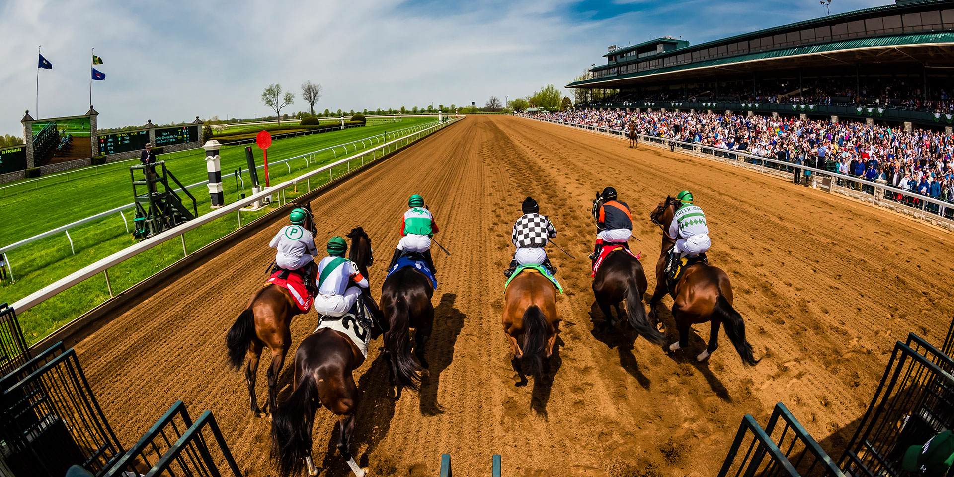 A thrilling horse race featuring multiple jockeys in colorful silks on a dirt track, with a large crowd in the background.