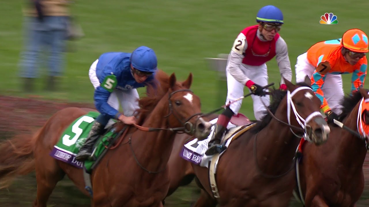 Dynamic horse race featuring jockeys in colorful silks, showcasing competitive racing on a lush track.