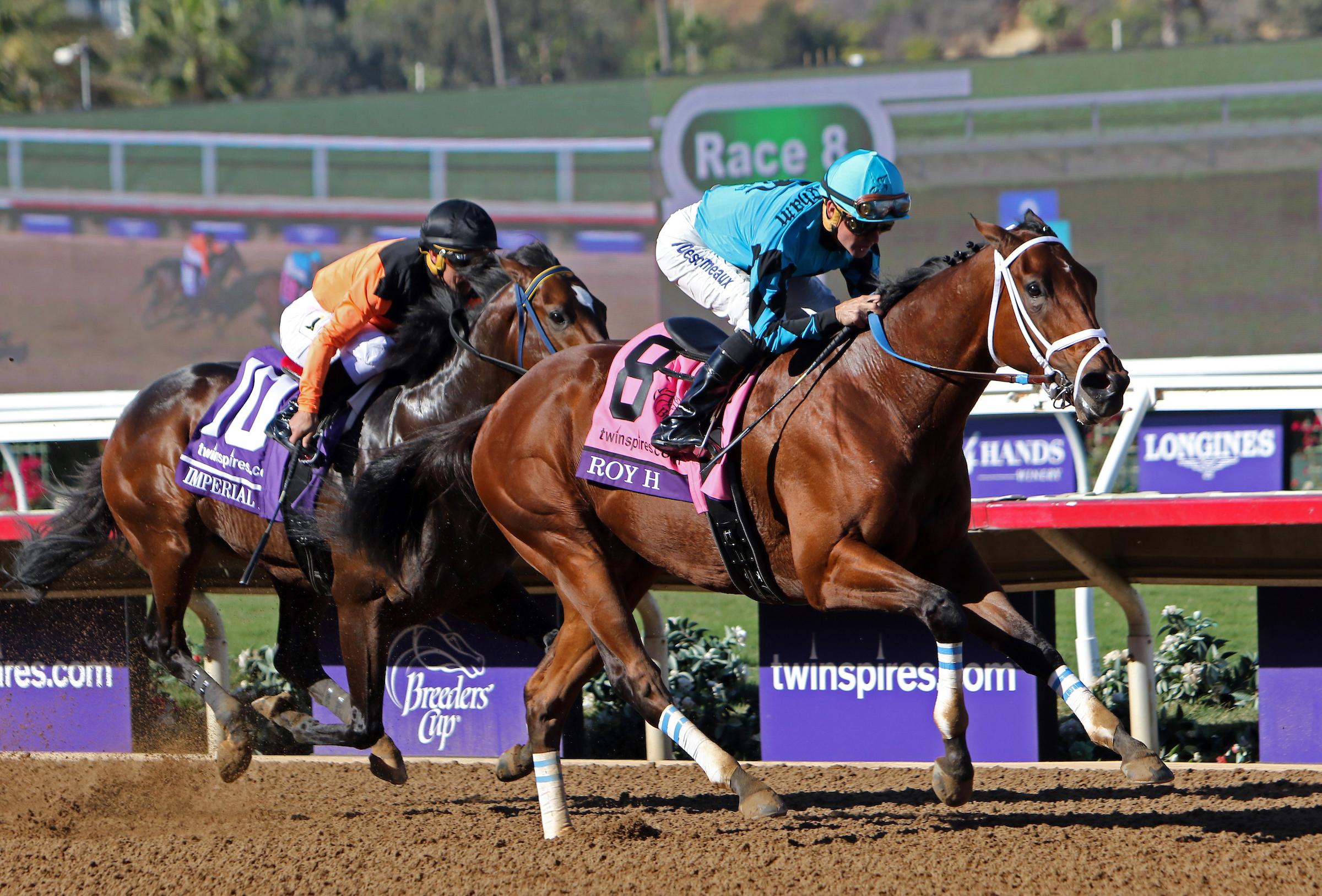 Two racehorses competing on a dirt track during a horse racing event.