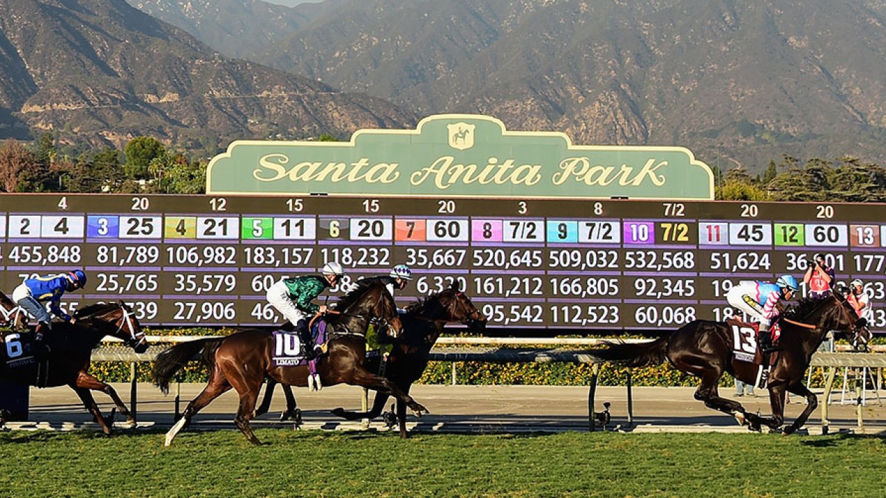 Horses racing at Santa Anita Park with jockeys in colorful silks and a scoreboard in the background, showcasing a competitive event.