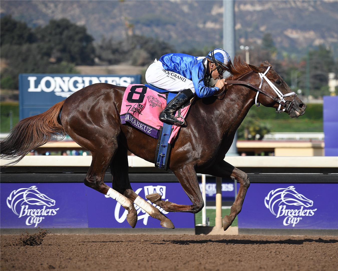 Racehorse Tamarkuz with jockey in blue silks competing in a horse race at the Breeders' Cup.