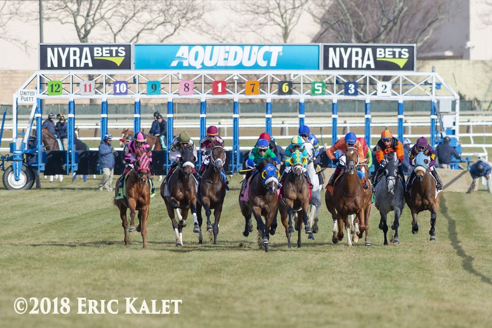 A competitive horse race begins at Aqueduct with multiple jockeys and horses in action, showcasing the excitement of thoroughbred racing.