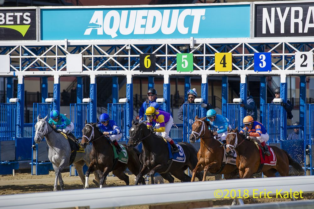 Horses competing in a race at Aqueduct Racetrack with jockeys in colorful silks.