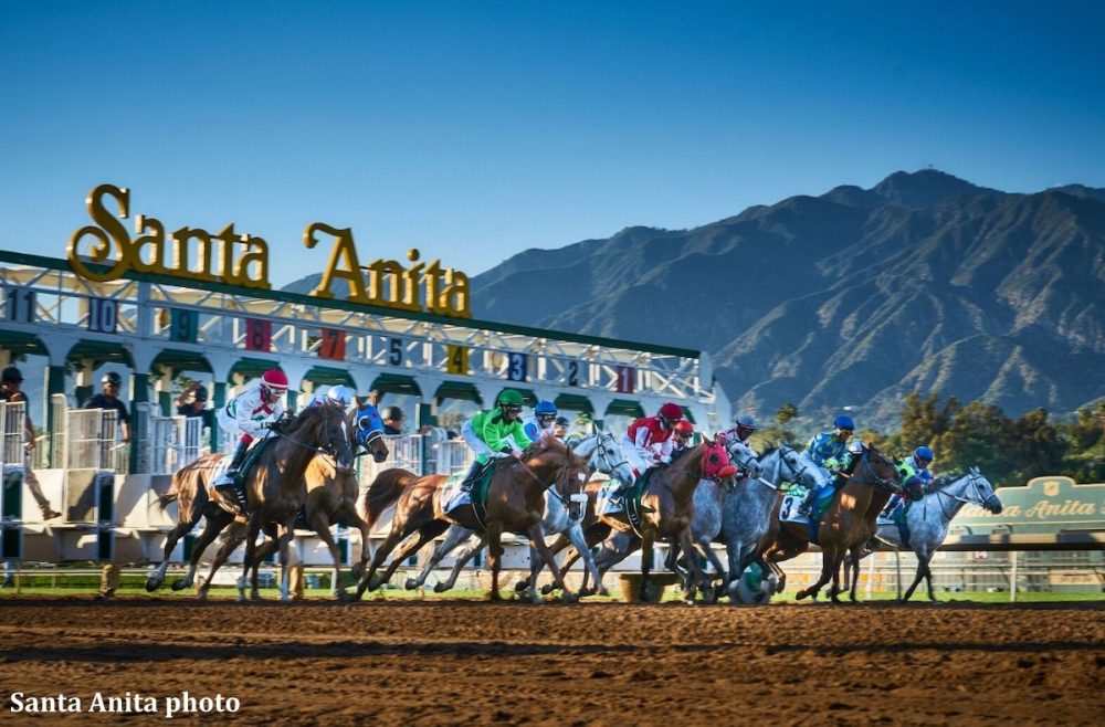 Horses racing out of the starting gate at Santa Anita Park with mountains in the background.
