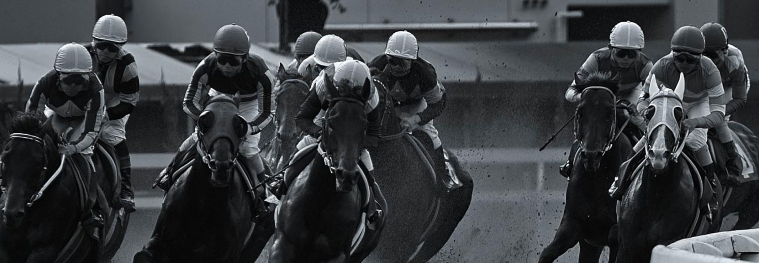 Dynamic horse racing scene featuring multiple jockeys in action on galloping horses, showcasing speed and competition.