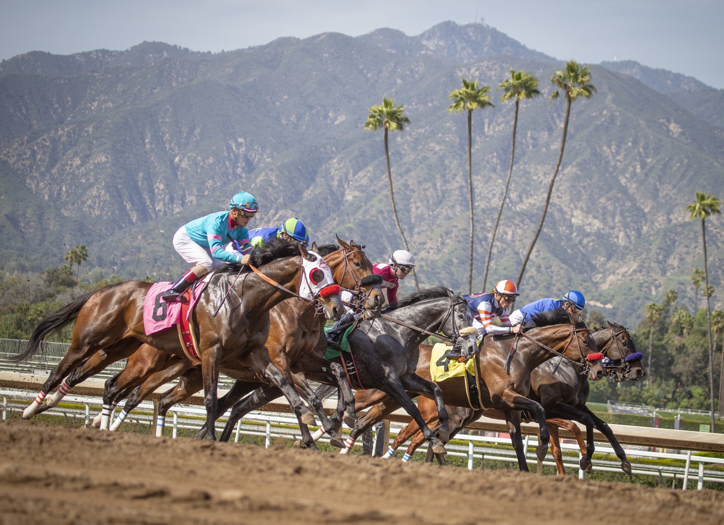 A dynamic horse race featuring multiple jockeys in colorful silks racing on a dirt track with mountains in the background.