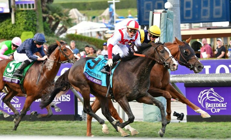 A horse with a jockey in red and white silks competing in a race at the Breeders' Cup event.